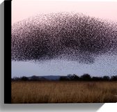 WallClassics - Canvas  - Grote Zwerm Vogels in de Lucht - 30x30 cm Foto op Canvas Schilderij (Wanddecoratie op Canvas)