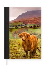 Notitieboek - Schrijfboek - Schotse hooglander - Bergen - Natuur - Notitieboekje klein - A5 formaat - Schrijfblok