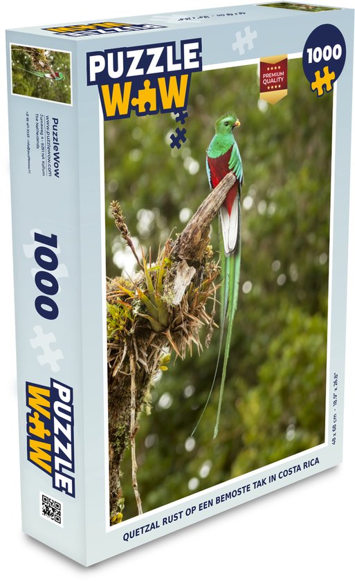 Puzzel Quetzal rust op een bemoste tak in Costa Rica - Legpuzzel - Puzzel  1000 stukjes... | bol