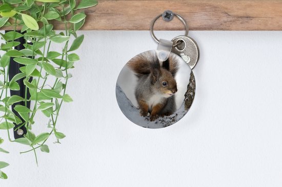 Porte-clés - Écureuil - Animal - Arbre - Hiver - Plastique - Rond - Cadeaux à distribuer