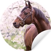 Wallpaper Circle - Cheval - Sakura - Licol - 80x80 cm - Wall Circle