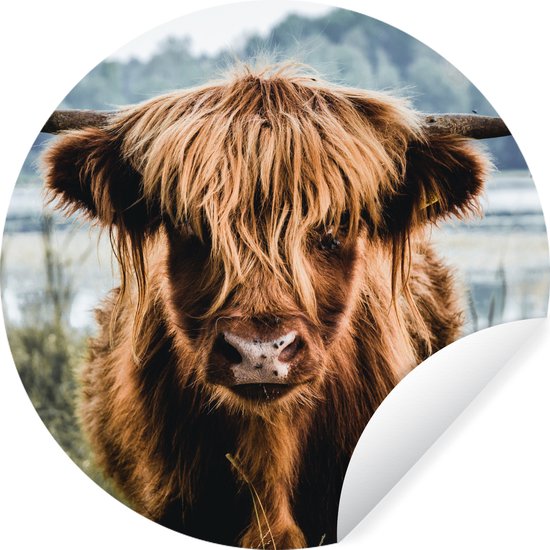 WallCircle - Papier peint cercle - Highlander écossais - Animaux - Vache - Nature - Water - Papier peint autocollant - Papier peint cercle - 100x100 cm - Décoration murale ronde - Papier peint autocollant