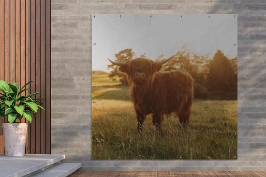 Tuinposter 200x200 cm - Tuindecoratie Schotse hooglander - Gras - Zon - Poster voor in de tuin - Buiten decoratie - Schutting tuinschilderij - Tuindoek muurdecoratie - Wanddecoratie balkondoek
