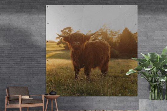 Tuinposter 200x200 cm - Tuindecoratie Schotse hooglander - Gras - Zon - Poster voor in de tuin - Buiten decoratie - Schutting tuinschilderij - Tuindoek muurdecoratie - Wanddecoratie balkondoek