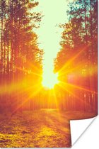 Poster Zonsondergang - Bomen - Bos - Natuur - 20x30 cm