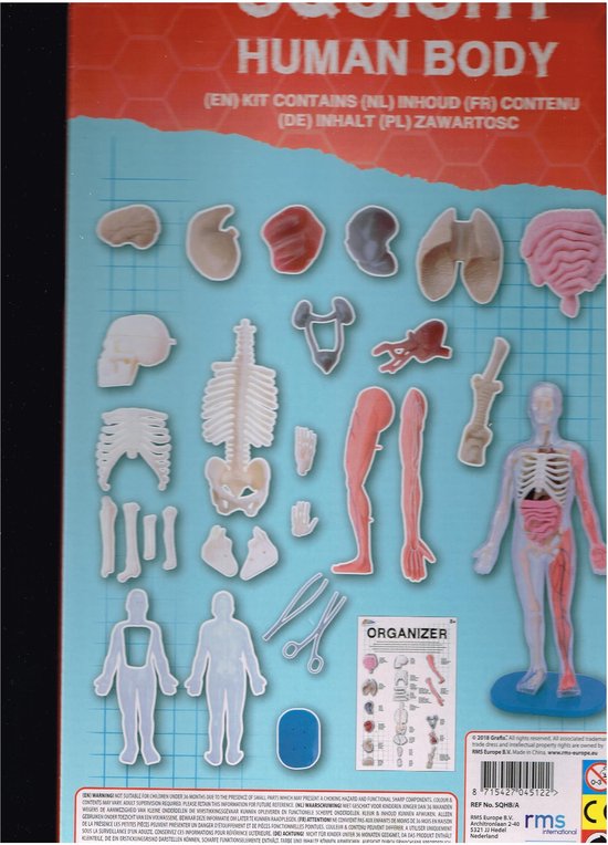 Squishy Human Body bol