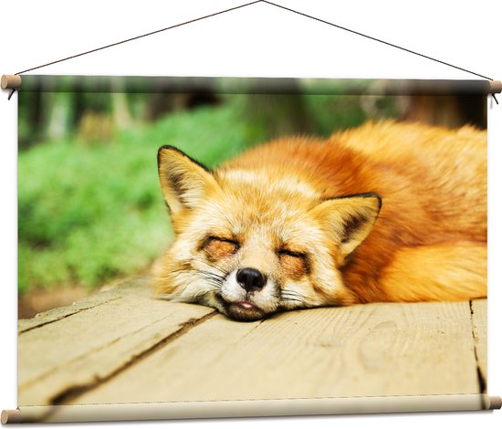 WallClassics - Affiche Textile - Renard Endormi - 90x60 cm Photo sur Textile