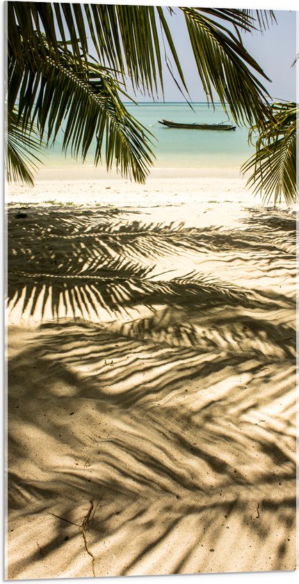 WallClassics - Acrylglas - Mooie Schaduw van Palmboom in het Zand - 50x100 cm Foto op Acrylglas (Met Ophangsysteem)