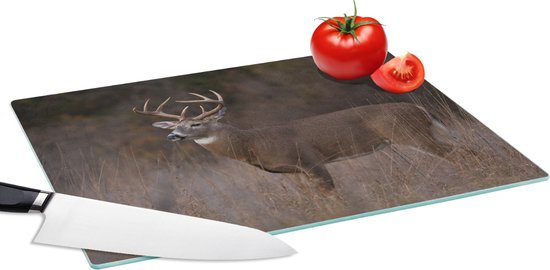 Coloray Glazen Snijplank Kerstmis 2x30x52cm Bord voor Het Serveren