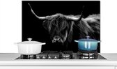Spatscherm keuken 80x55 cm - Kookplaat achterwand Schotse Hooglander - Horens - Zwart - Dieren - Natuur - Wild - Koe - Muurbeschermer - Spatwand fornuis - Hoogwaardig aluminium
