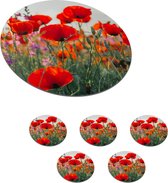 Onderzetters voor glazen - Rond - Klaproos - Bloemen - Rood - Paars - Weide - 10x10 cm - Glasonderzetters - 6 stuks