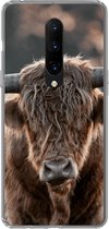 Geschikt voor OnePlus 7 Pro hoesje - Schotse hooglander - Vacht - Portret - Siliconen Telefoonhoesje