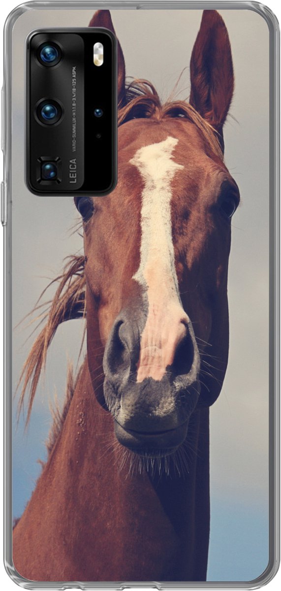 Telefoonhoesje Geschikt voor Huawei P40 Pro hoesje - Paard - Wolken - Portret - Siliconen Telefoonhoesje Telefoonhoesje