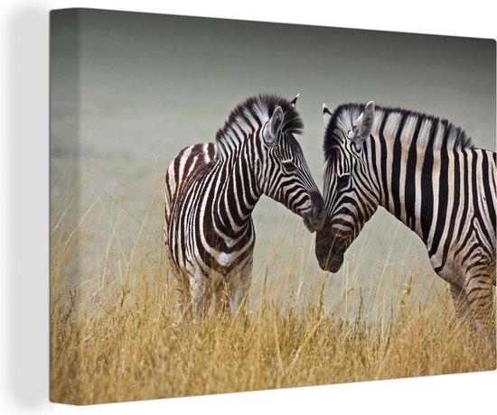 Canvas Schilderij Moeder zebra en haar jong - 30x20 cm - Wanddecoratie