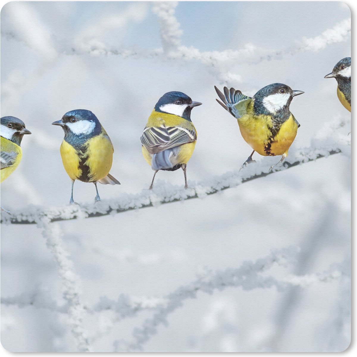 Muismat 30x30 cm - Mousepad Vogel - Koolmees - Winter - Sneeuw - Takken - Muismatten
