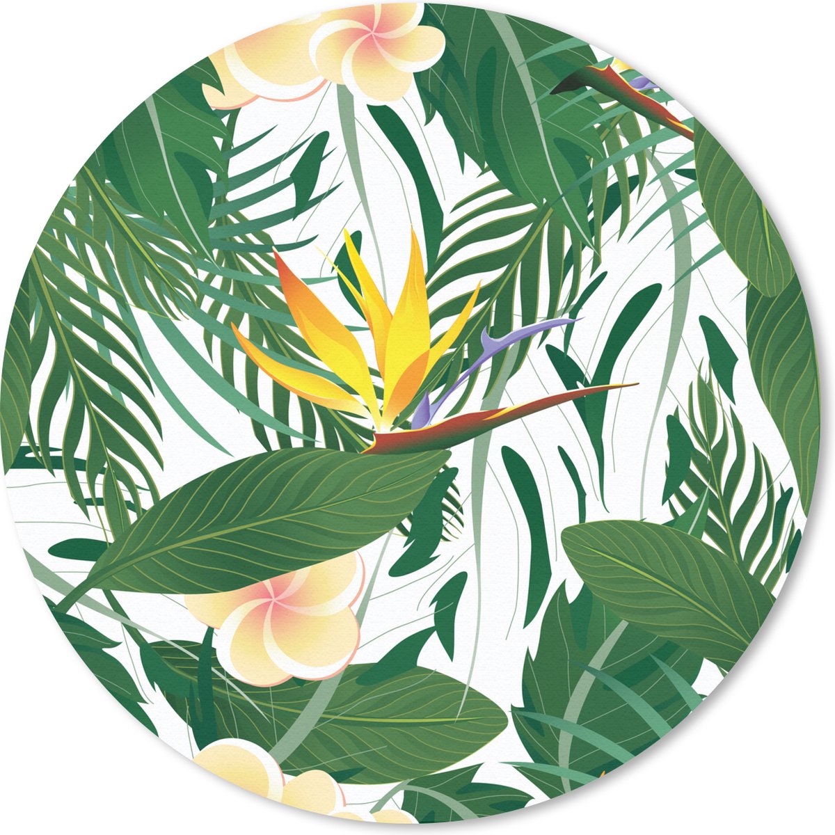 Muismat rond 20x20 cm - Mousepad Bladeren - Bloemen - Paradijsvogelplant - Ronde muismatten