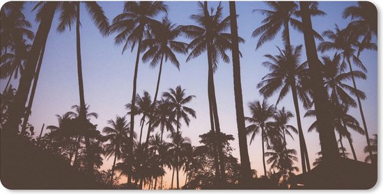 Tapis de bureau 60 x 30 cm - Tapis de souris Palmier - Tropical - Été - Ciel - Tapis de bureau XL - Protection de bureau - Tapis de souris Ordinateur