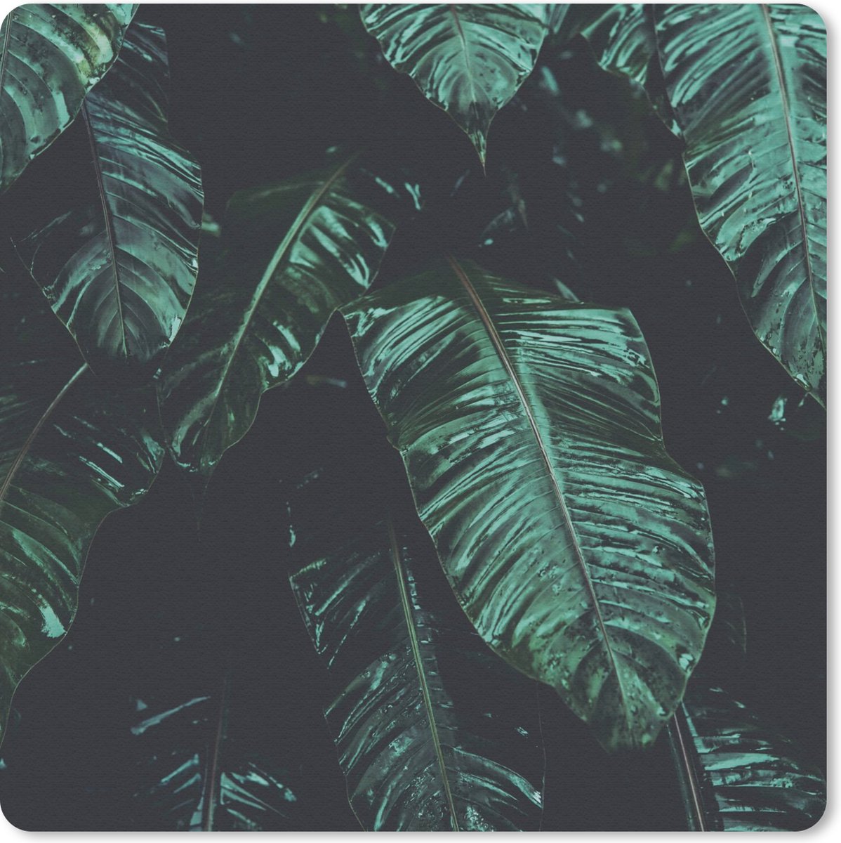 Muismat 30x30 cm - Mousepad Jungle - Palmboom - Bladeren - Tropisch - Muismatten