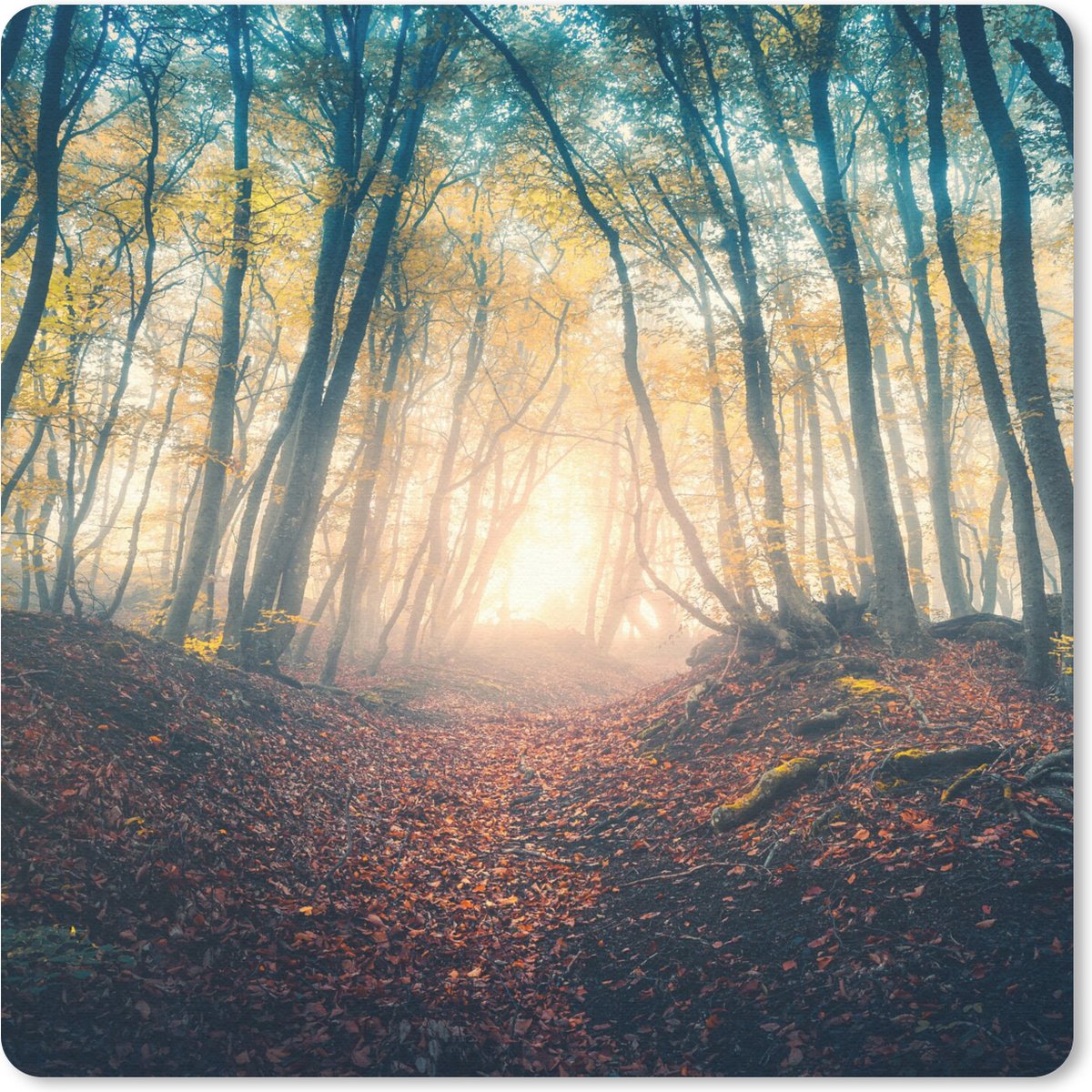 Muismat 30x30 cm - Mousepad Bos - Mist - Zon - Herfst - Muismatten