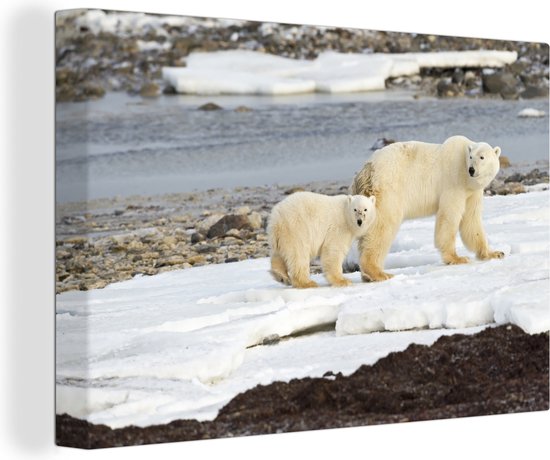 Moeder en zoon ijsbeer Canvas 120x80 cm - Foto print op Canvas schilderij (Wanddecoratie)