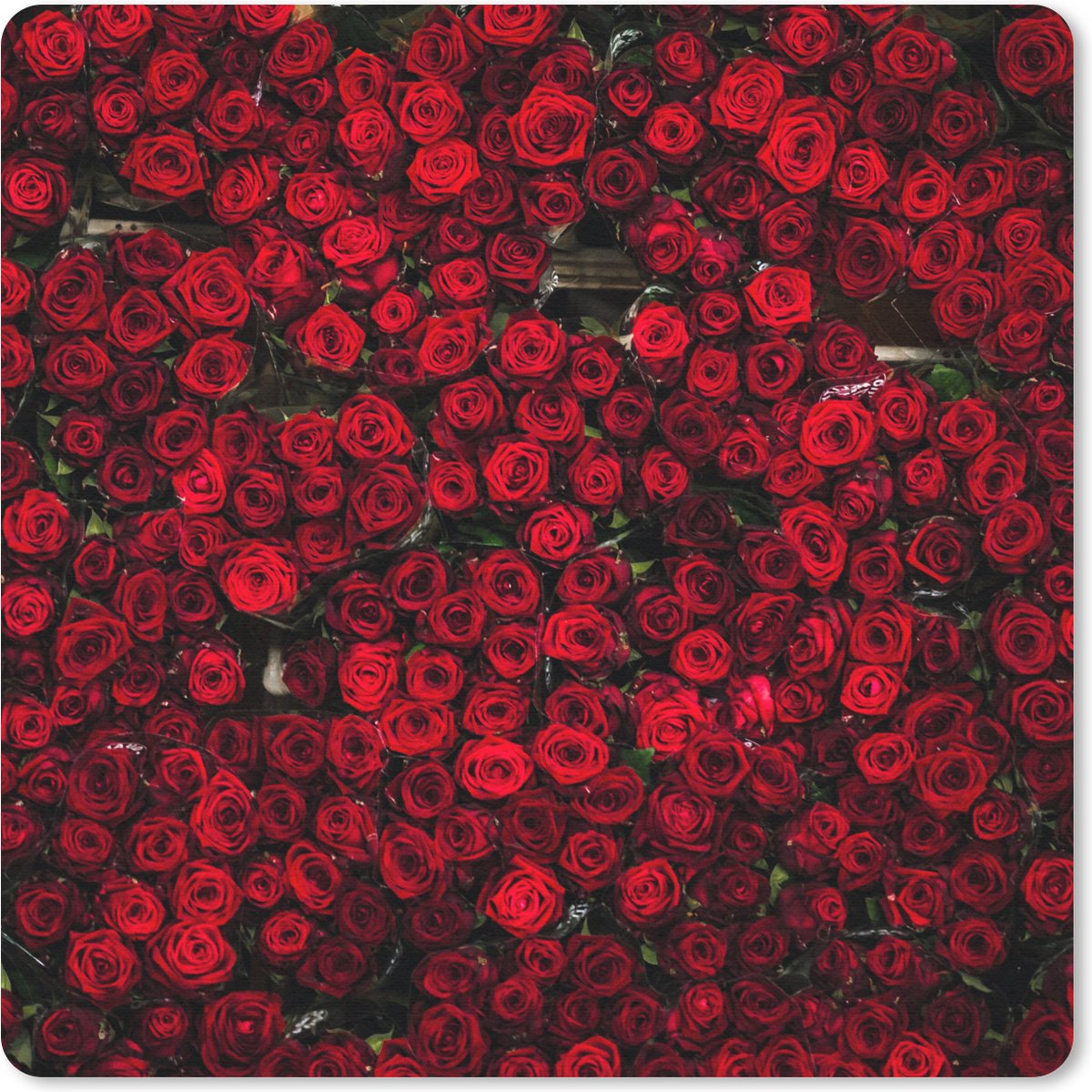 Muismat 30x30 cm - Mousepad Bloemen - Rozen - Rood - Muismatten