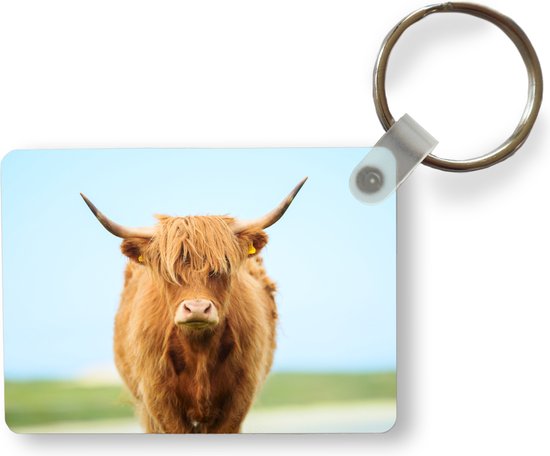 Hondenhaar Sleutelhanger - Honden Haren Aandenken Sleutelhanger - Herdenkings Vorm Pendant Voor Verzameling Portemonnee Charm Tas Vrouwen Mannen
