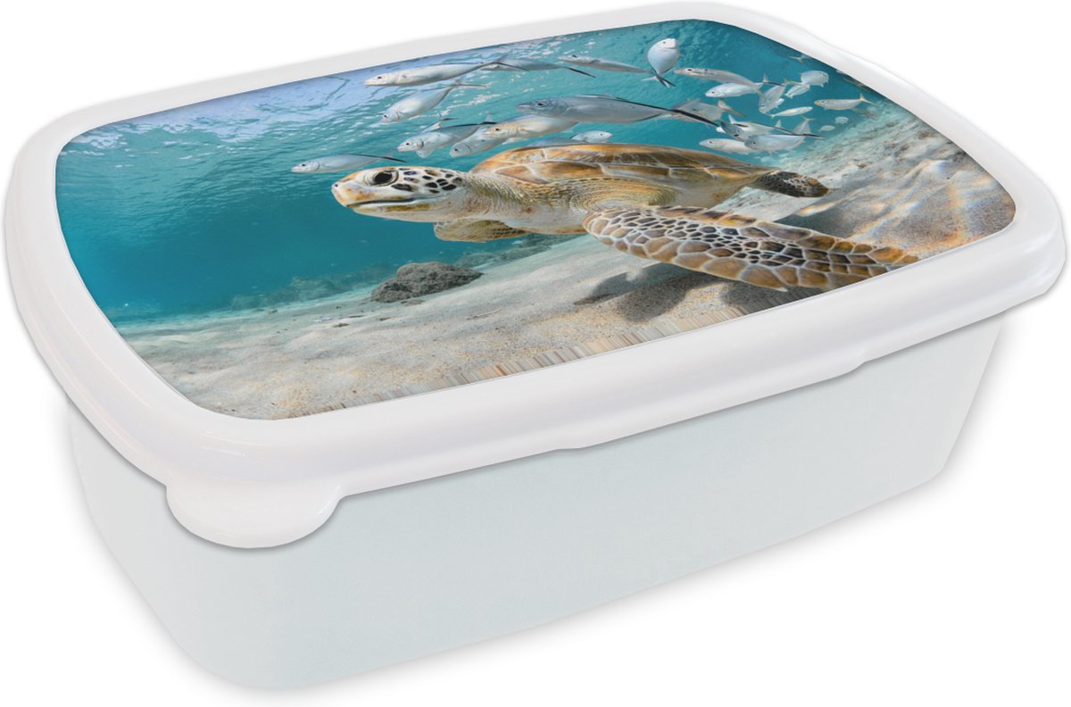 Broodtrommel Wit - Lunchbox - Brooddoos - Schildpad - Vis - Zee - 18x12x6 cm - Volwassenen