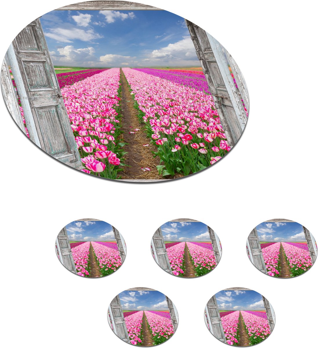 Onderzetters voor glazen - Rond - Bloemen - Tulpen - Doorkijk - Regenboog - 10x10 cm - Glasonderzetters - 6 stuks