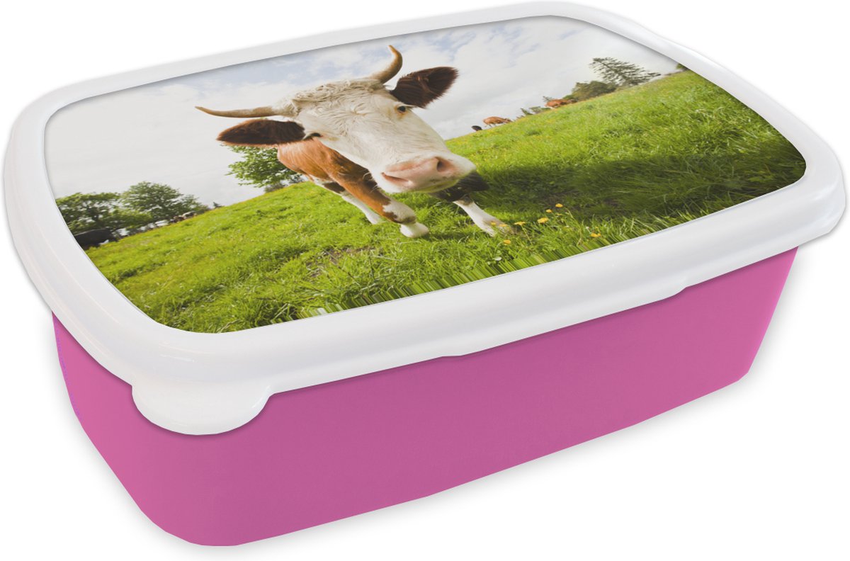 Broodtrommel Roze - Lunchbox - Brooddoos - Koe - Licht - Schaduw - 18x12x6 cm - Kinderen - Meisje