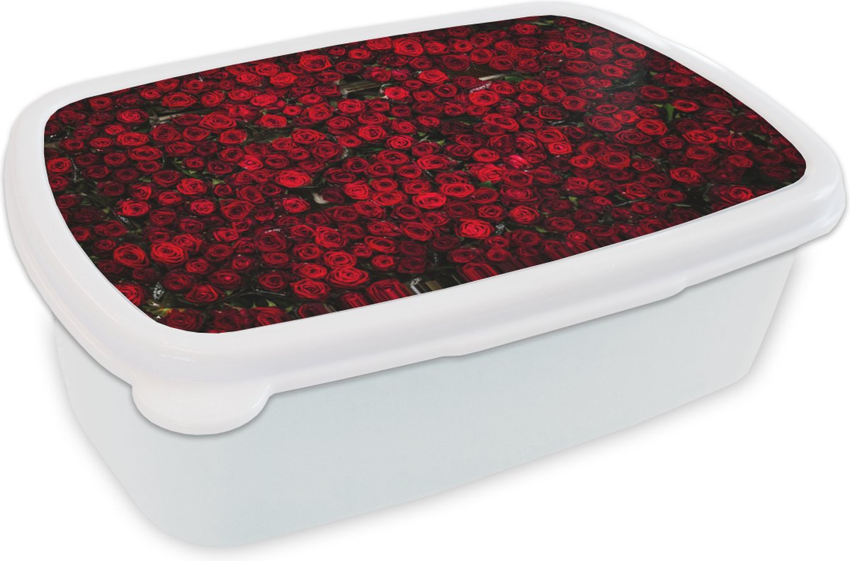 Broodtrommel Wit - Lunchbox - Brooddoos - Bloemen - Rozen - Rood - 18x12x6 cm - Volwassenen