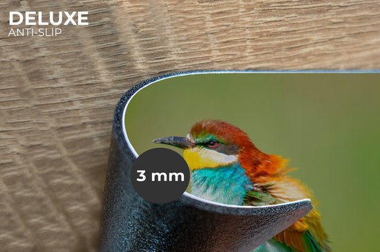 Set de table - Napperons en plastique - Vogel - Animaux - Guêpier - 45x30 cm - 6 pièces - Résistant à la chaleur - Antidérapant - Sous-couche - Amovible