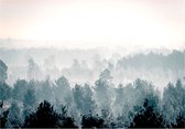 Fotobehang - Winter Forest.