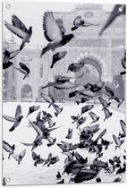 WallClassics - Tuinposter – Vliegende Duiven in de Sneeuw - 60x90 cm Foto op Tuinposter  (wanddecoratie voor buiten en binnen)