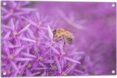 WallClassics - Tuinposter – Paarse Bloemen met Bij - 75x50 cm Foto op Tuinposter  (wanddecoratie voor buiten en binnen)