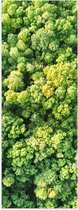 WallClassics - Poster Glanzend – Bovenaanzicht van Dichtbegroeid Bos in het Groen - 20x60 cm Foto op Posterpapier met Glanzende Afwerking