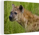 Canvas Schilderij Hyena - Afrika - Gras - 80x60 cm - Wanddecoratie