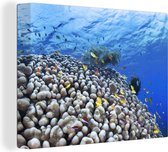 Canvas Schilderij Onderwater rif met vissen - 40x30 cm - Wanddecoratie