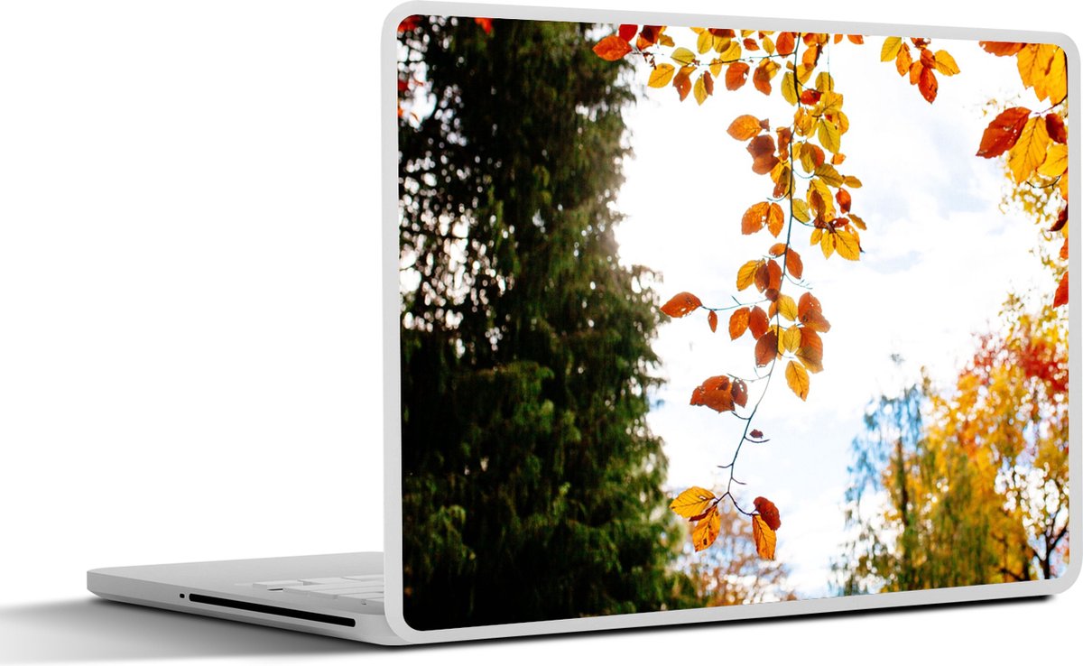 Laptop sticker - 11.6 inch - Herfst - Bladeren - Natuur - 30x21cm - Laptopstickers - Laptop skin - Cover