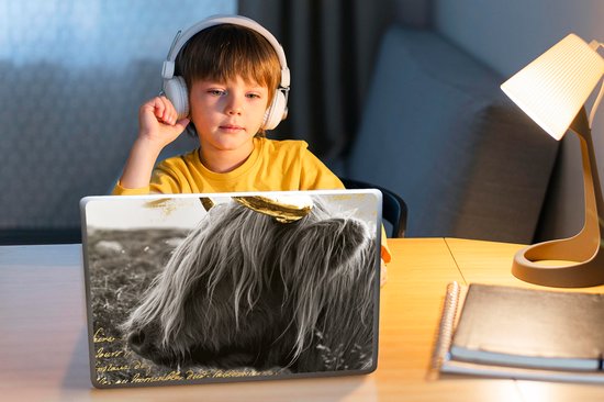 Sticker ordinateur portable - 11,6 pouces - Scottish Highlander - Vache - Or