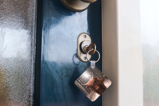 Porte-clés - Scottish Highlander - Animaux - Vaches - Plastique