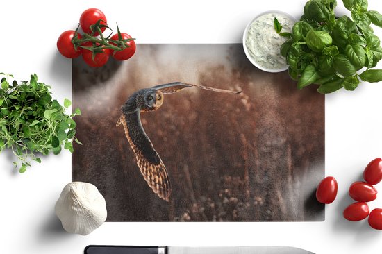 Planche à découper en Verres - 39x28 - Vogel - Hibou - Coucher de soleil - Nature - Planches à découper en Glas