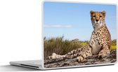 Laptop sticker - 14 inch - Luipaard - Dieren - Natuur - 32x5x23x5cm - Laptopstickers - Laptop skin - Cover
