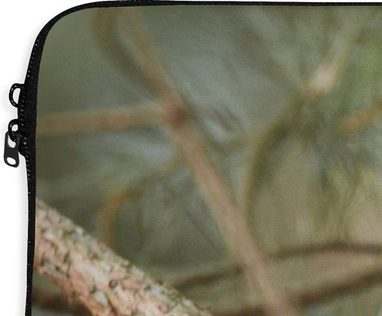 Housse pour ordinateur portable 15,6 pouces - Vogel - Merle - Branches - Animaux - Housse pour ordinateur portable - Dimensions intérieures 39,5x29,5 cm