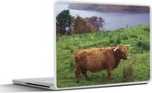 Laptop sticker - 17.3 inch - Schotse Hooglander - Gras - Water -Dieren - 40x30cm - Laptopstickers - Laptop skin - Cover