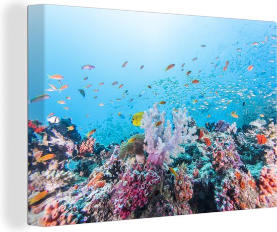 Kleurrijk rif en koraal Canvas 30x20 cm - Foto print op Canvas schilderij (Wanddecoratie)