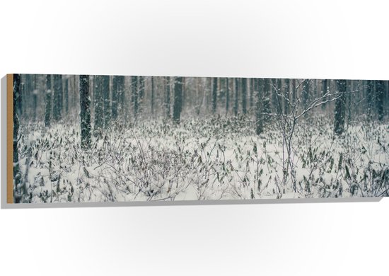 WallClassics - Hout - Foto van Besneeuwde Grond - 120x40 cm - 12 mm dik - Foto op Hout (Met Ophangsysteem)