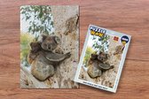 Puzzel Koala's - Kind - Boom - Kinderen - Jongetje - Meiden - Legpuzzel - Puzzel 1000 stukjes volwassenen