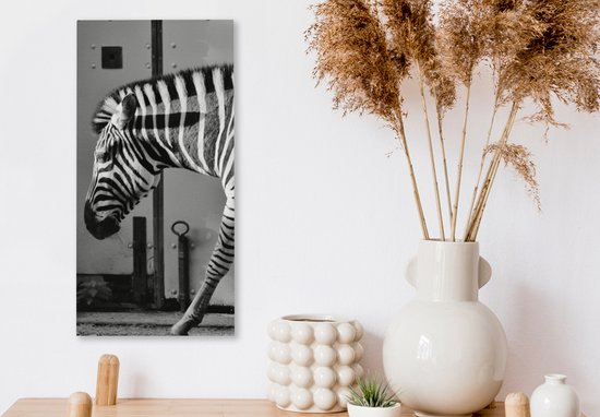 Peinture sur toile - Animaux sauvages - Zebra - Mur - Porte - Décoration murale - Toile - 20x40 cm - Tableau sur toile - Décoration de la maison