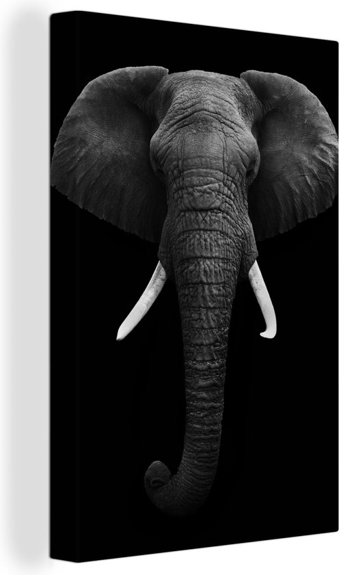 Toile - Animaux - Éléphant - Zwart - Wit - Décoration Décoration murale - 120x180 cm - Photo sur toile - Peintures sur toile salon