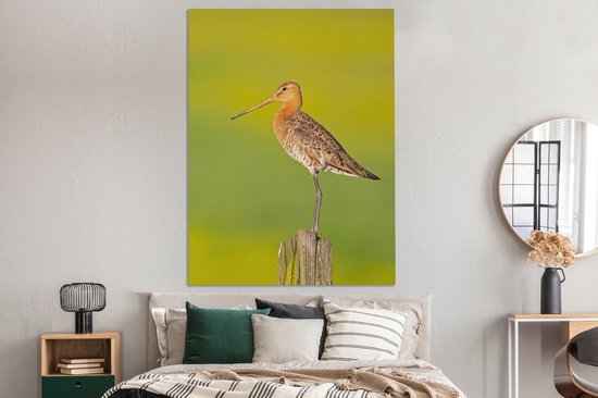 Toile - Tableau - Vogel - Animaux - Barge à queue noire - Perche - Vert - Peintures sur toile - Photo sur toile - 120x160 cm - Décoration murale - Salon